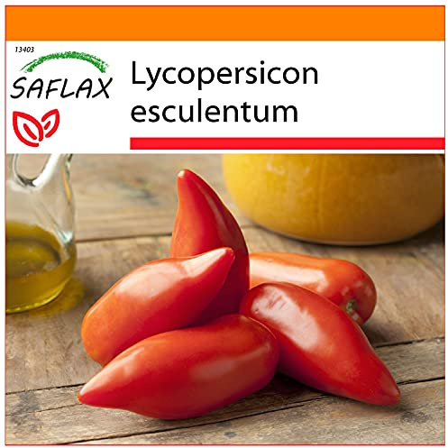 SAFLAX - Garden in the Bag - Tomat - Andenhorn/Cornue Des Andes - 10 Frön - Med underlag i en passande resväska - Lycopersicon esculentum