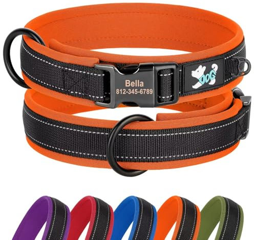 Didog Personalisiertes Nylon-Hundehalsband, weiches Neopren gepolstert, individuelle Hundehalsbänder, reflektierendes Hundehalsband graviertem Namensschild kleine, mittelgroße große Hunde, Orange, M