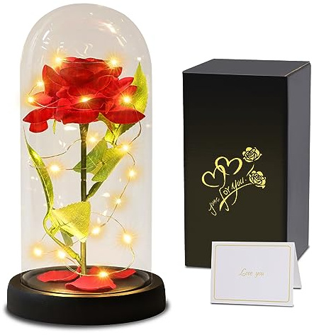 Touloube Geschenke für Frauen Geschenk, Die Schöne und das Biest Rose Blume Geschenk, Ewige Rose im Glas, Infinity Rosen Geschenke für Mama Mutter Großmutter Oma Frauen Freundin