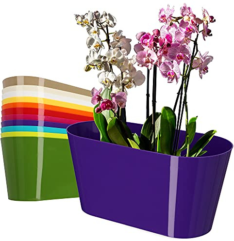 KADAX Pot de fleurs en plastique - 27 x 13 cm - Grand pot ovale - Pour orchidées, bellis, pensées, drazènes (violet)