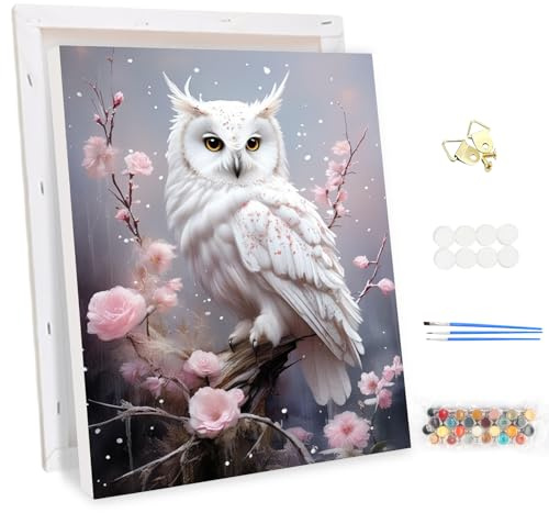 MEIYUDA Malen Nach Zahlen Erwachsene mit Rahmen Eule, DIY Set Erwachsene Tier Bastelset, 3 Pinsels Und Acrylfarbe DIY Handgemalt öLgemäLde Kit Als Geschenk und Home Haus Deko 30x40cm
