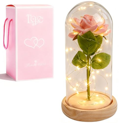 XVZ La bella e la bestia eterna rosa – regalo floreale per donne, rosa sotto campana di vetro con LED e supporto in legno per mamma, moglie o fidanzata per Natale, San Valentino o anniversari, rosa