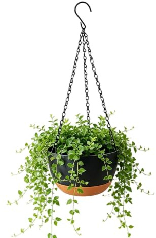 Krukor för Inomhusväxter,Hängande blomkorg med avtagbar bricka | Krukor för växter - trädgård, utomhus, vägg, uteplats, hylla, däck, fönster