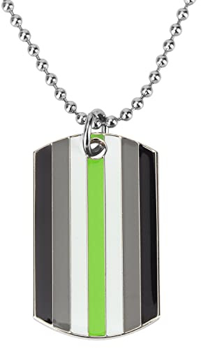 Sinwinkori Progress - Collana con ciondolo con targhetta d'identità arcobaleno asessuale transgender MIL bisessuale pansessuale Philadelphia nonbinario Sole Set Lesbica Demiboy Dog Tag Collana, 38 x