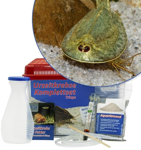 AQ4Aquaristik Triops mauritanicus (grün) Starterset: Urzeitkrebse Eier, 2,5 l Aquarium, Zubehör, Futter und Anleitung | für Aquarium, Triops, Fische, Garnelen, Schnecken