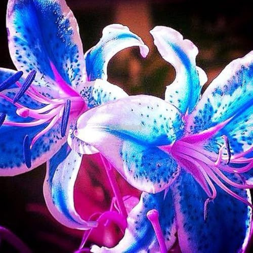 Lilium candidum,fiori grandi,resistenti al freddo,Che abbelliscono l'ambiente,forte adattabilità,Giglio Bianco,lilium giganti,Unico.(Steli grandi,senza semi,non artificiali)-4pezzi-E
