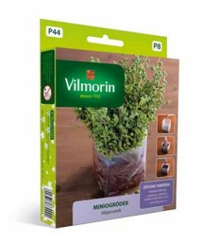 Mini Garden - Maggiorana - set iniziale per coltivazione indoor - semi