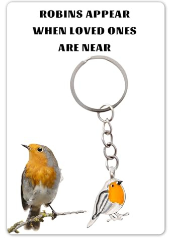 Huipalon Robin Memorial Gifts, Keyring with Robins Appear When Loved Ones Are Near, Condolences Card, Gift for Women, Bereavement & Remembrance for Loss of Mum, Dad, Grandma, Friend