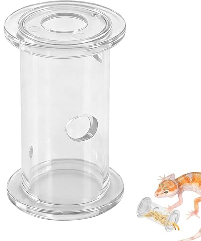 CYUXING Jouet décoratif pour mangeoire à Dragon Barbu, Conception Scientifique Facile à Utiliser, Accessoire de décoration pour Terrarium de Dragon Barbu, caméléon, Gecko, lézard