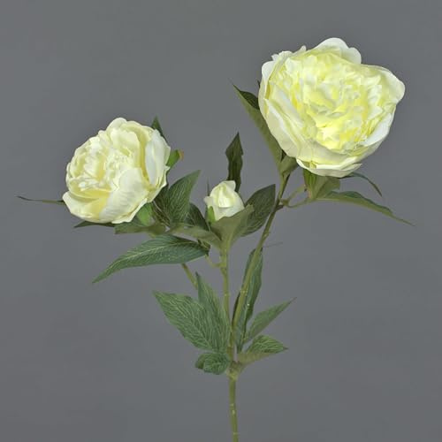 artplants.de Künstliche Blume Pfingstrose Misti, Creme, 70cm - Künstliche Päonie