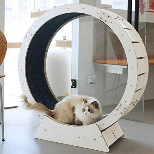 Katzenlaufrad Indoor-Katzenlaufband für Katzenübungen, Katzenlaufrad dreht Sich leise und sanft, Anti-Quetsch-Design mit kleinen Lücken, super tragfähiges Katzenrad (Größe: groß, Durchmesser
