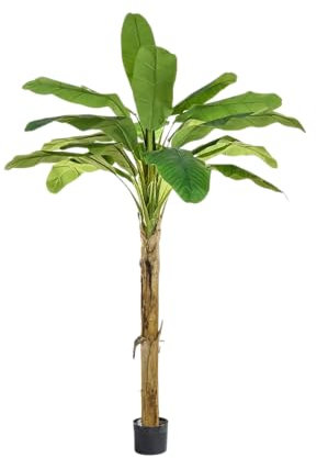 aplanta Künstlicher Bananenbaum - Jonas | 180 cm, B1 Feuerhemmend, für drinnen, Kunstbaum, wie echt, Allergiker geeignet, pflanzliche Dekoration Praxis, Office & Wohnzimmer