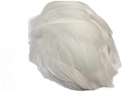LIANRISES 600 Stück Federn Zum Basteln Federn Weiss Federn Weiss Zum Basteln Weiße Federn Zum Basteln Feder Federn Basteln Bastelfedern für Hochzeit Geburtstag Kleidung Party DIY