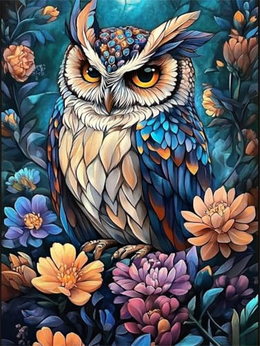 jieyisier Diamond Painting Erwachsene Set,Diamant Painting Bilder Eule,Diamond Painting Set für Erwachsene für Anfänger Zuhause Wanddekoration 12x16 Zoll