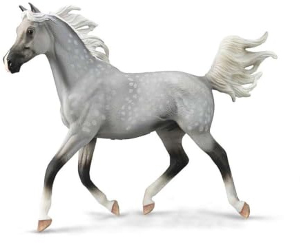 CollectA Halb arabischer Hengst in Grau getupft – Deluxe Maßstab 1:12