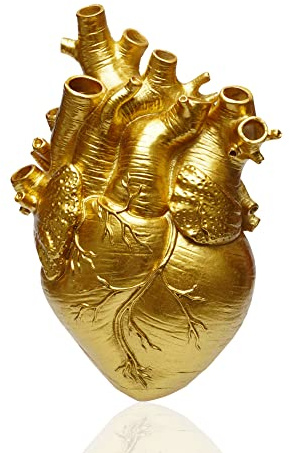 Herz Vase Anatomisches Blumentopf，Dekoration für Wohnzimmer und Schlafzimmer Dekorative Vase