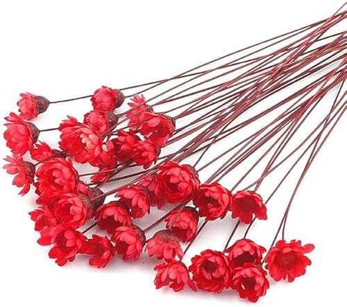 MLSG 100 Stems Natural Dry Flowers Brazilian Small Star Daisy Decorative Dried Flowers Mini Daisy Chamomile Bouquet for Wedding Floral Arrangements Home Decorations (Red02)