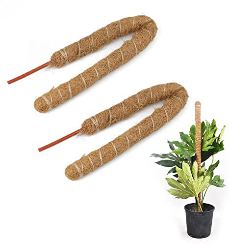 60CM Bastoni per Piante, CHSEROK 2 pezzi Bastone di Muschio, Pali di Supporto per Piante Pieghevoli, Adatto per Piante Rampicanti Indoor e Outdoor