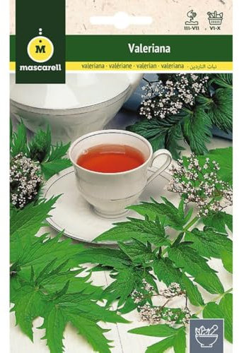 Mascarell Semillas, VALERIANA (VALERIANA OFFICINALIS), Semillas de Hierbas Aromáticas para Plantar, Crea tu Propio Huerto en Casa. 0,2 Gramos
