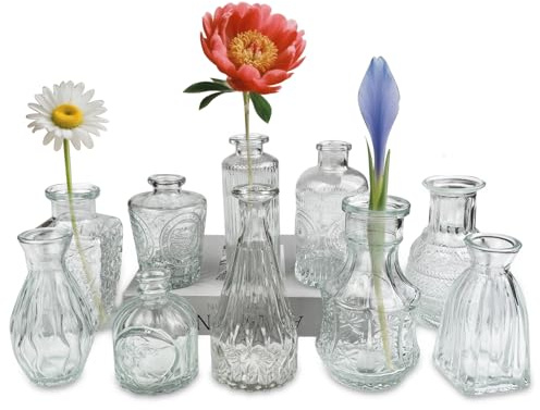VELLUSTRA Lot de 10 Vases en Verre, Petit Mini Transparent Vase, Set Différentes Tailles Vase de Fleurs, Belle Forme, pour Décoration de Table La Maison Mariage, Décorations de Table Moderne