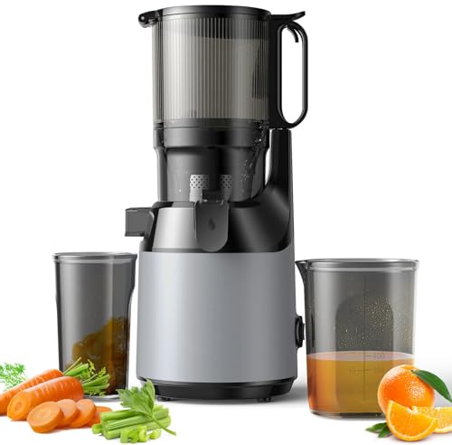 Cold Press Juicer, Compact Slow Masticating Juicer with 130mm Feed Chute, Easy to Clean, 60dB Low Noise - Perfect for Fruits and Vegetables