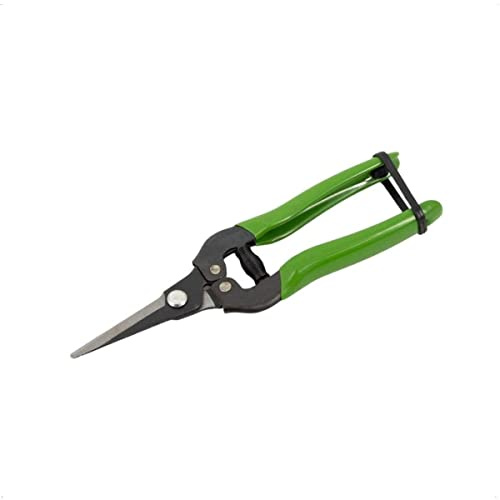 Rekord Garten- und Blumenschere (Karbonstahl) 19 cm mit Arretierung Klinge 7 cm lang, Pflanzenschere, Stutzarbeiten, Trimmschere, Traubenschere, Floristenschere