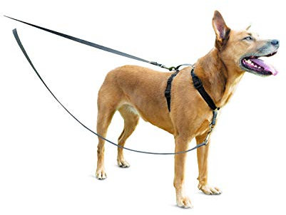 PetSafe Anti-Zieh Hundeleine, Kompatibel mit PetSafe 3-in-1-Geschirr, 1,2 m Länge, Aus reflektierendem Nylon, Grau