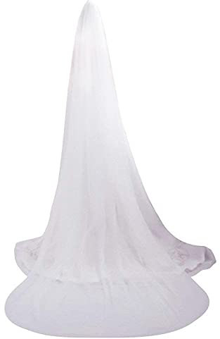 Brautschleier Beige Braut Frauen mit kamm veil Extra lang One Size 3m Schleier weich Hochzeit 2 Schicht für Hochzeit Wedding in Kathedrale schön Elegant Hochzeitsschleier passendes Brautkleid
