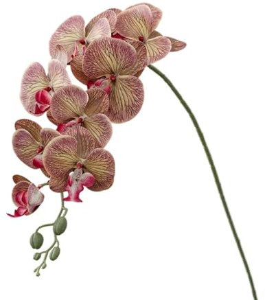 Künstliche Schmetterlings-Orchidee, Blumenarrangement, Fotografie-Requisiten, künstliche Blumen, Kunstpflanze, Braun