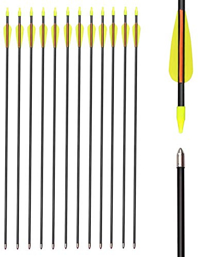 12er Fiberglaspfeil für Bogenschießen, 28 Zoll Bogenpfeile Pfeile Fiberglaspfeil für Sportbogen, Recurvebogen, Langbogen