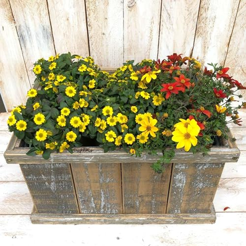 Storm's Gartenzaubereien Pflanzkiste aus Holz – Shabby Chic Blumenkasten – Vintage Pflanzkübel für Balkon und Terrasse – Holzkiste als Miniteich oder Kräuterbeet – Wasserdichter Einsatz