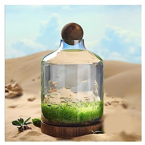 Décoration Bouteille en Verre for Aquarium, Culture écologique, Micro Paysage, Petit réservoir de Plantes à Circulation Automatique avec Base en Bois, Ornements de Bureau pour Poissons(Grand)