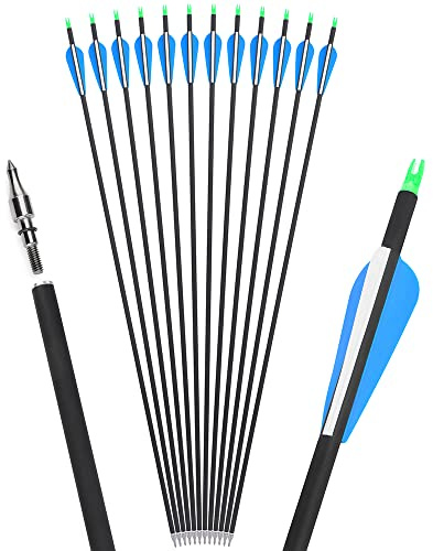 wolfman 32 Zoll Carbonpfeile für Bogenschießen Spine 500 Carbon Jagdpfeile mit 3 Zoll Plastikfeder Carbon Arrows für Pfeil Bogen Recurvebogen Compoundbogen (12P, blau)