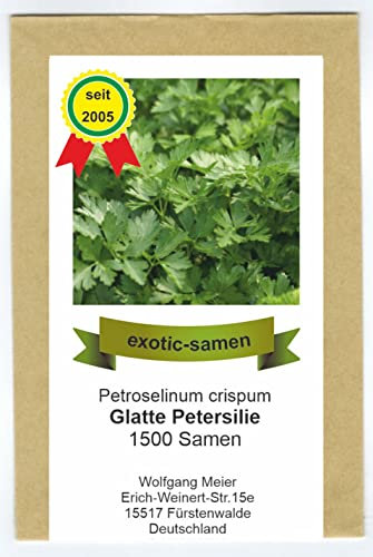 Petersilie glatt - Bienenweide - Petroselinum crispum - 1500 Samen