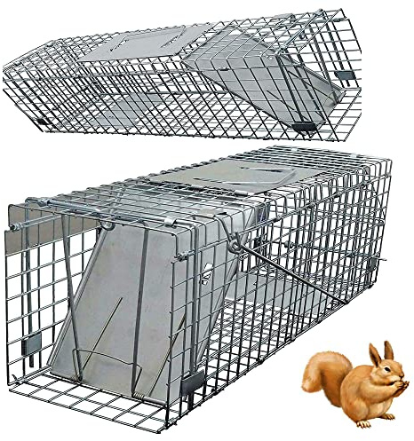 Mausefalle Lebend im Praktischen für Innen & Aussen - Wiederverwendbare Lebendfalle Maus Humane Mausefallen - Mausefalle Lebend Leicht für Küche,Haus,Draußen und Garten - 1 Pack