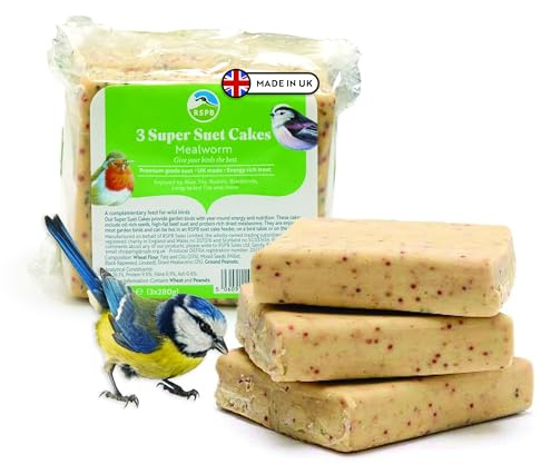 RSPB - Suet Cakes for Wild Birds, Wild Bird Food for Small Birds with Dried Mealworms, Peanuts, Millet Seeds, and Rapeseeds, Individually Wrapped, Easy to Open (3 x 280g)