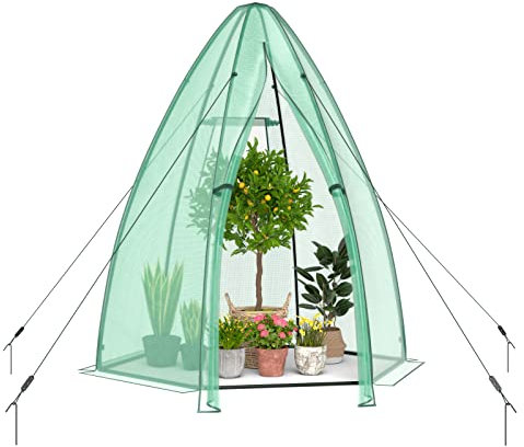RELAX4LIFE Gewächshaus, Überwinterungszelt mit Rolltür & Netzfenster, Foliengewächshaus aus PE & Metallrahmen, Treibhaus für Garten Terrasse Balkon, 160 x 160 x 183 cm, Grün