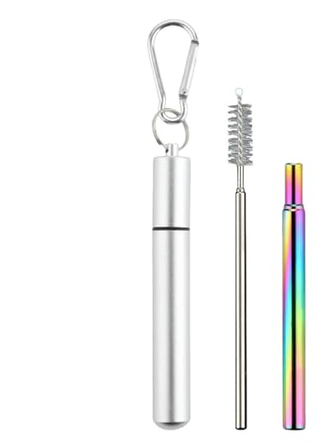 Paja portátil, pajitas reutilizables con estuche – Juego de pajitas telescópicas portátiles, pajitas metálicas reutilizables con 1 estuche, 1 cepillo de limpieza, 1 llavero, accesorios de