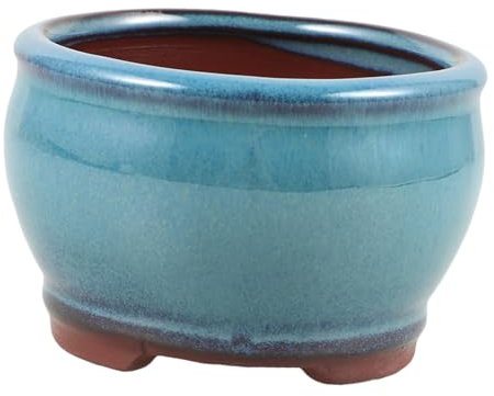 Happyyami Macetas De Cerámica para Suculentas Macetero Decorativo para Interior Macetero De Escritorio para Plantas Suculentas