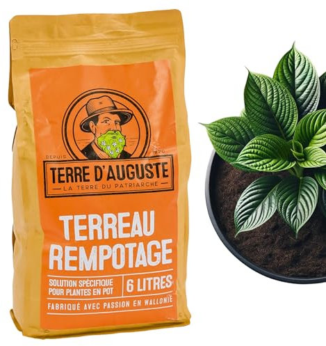 TERRE D'AUGUSTE - Terriccio 6L con cerniera richiudibile - Soluzione specifica per piante in vaso - Tutte le varietà di piante da interno e palme - Piante verdi e fiorite