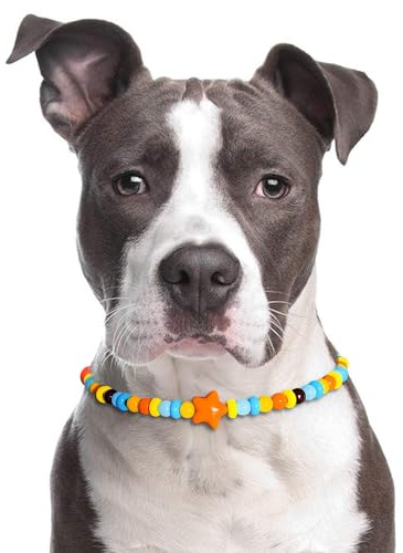 JOGIA Starwhisper Beaded Dog Collar – Statement Star Charm Necklace, Cool Decorative Jewelry for Stylish Dogs