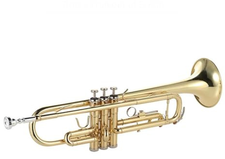 Trompete Trompete Bb Flachmund Messing vergoldet Exquisites und langlebiges Blechblasinstrument mit Trompetenmundstück Handschuhe Riemenetui