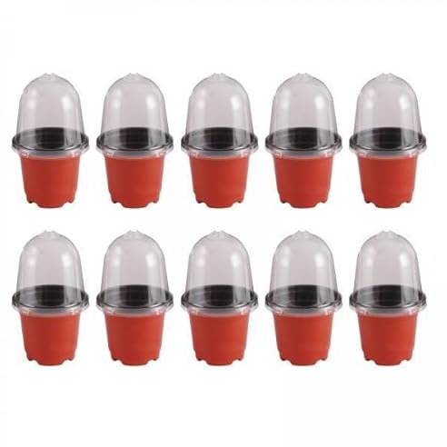 Dualoai 4X Pack de 10 Pots de Fleurs, Jardinières, Coupelles pour Intérieur et Extérieur