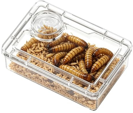 Bearded Dragon Food Bowl Escape Proof with Compartment | Bearded Dragon Feeder for Habitat for Home Office Terrarium Habitat Chameleon Hermit Crab Frog