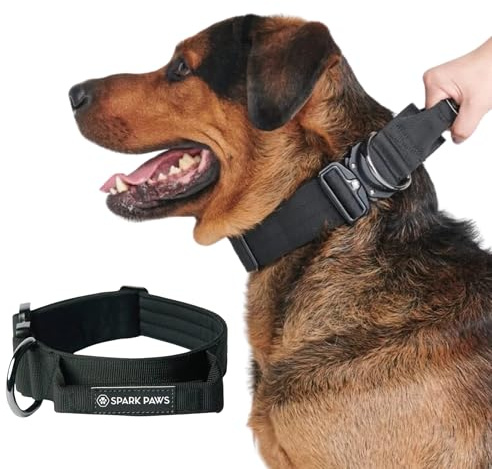 Spark Paws Taktisches Hundehalsband – Robuste, Premium-Qualität, Dick und Langlebig für Große und Mittelgroße Hunde - Schwarz - M: 23-39kg [5cm]