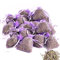 Cosecha 2024-25 x Saquitos de Lavanda de Provenza (Púrpura, 25 Saquitos)