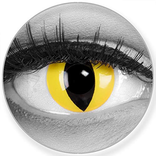 Farbige Gelbe Crazy Fun Kontaktlinsen Cat Eye - Katzenaugen Mit Gratis Linsenbehälter - Topqualität zu Karneval, Fasching und Halloween Mit Stärke -6.00 Dioptrien