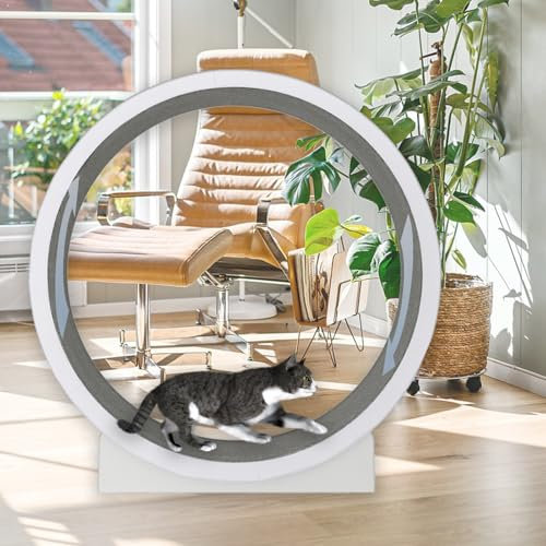Laufrad für Katzen, 47 Zoll, großes Laufrad für Katzen mit Teppichlaufbahn und leisem Rad, Indoor-Laufband für die Fitness und Gesundheit Ihrer Katze