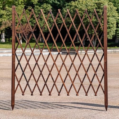 Clôture De Jardin Extensible En Bois For Jardin Extérieur, Panneaux De Treillis De Séparation, Bordure De Pelouse, Parterre De Fleurs, Support Rétractable For Plantes Grimpantes(70x160cm)