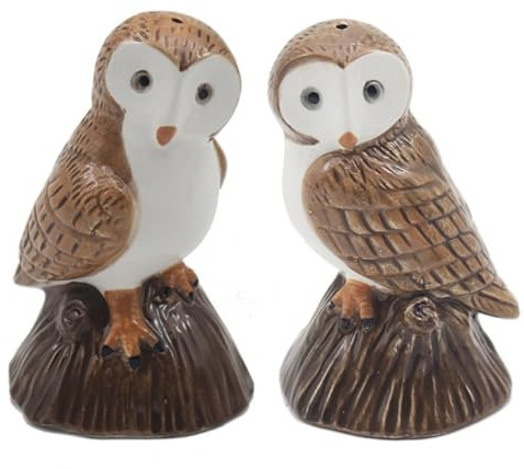 Lesser & Pavey Owls Salt & Pepper Set for All Types of Kitchen | Ceramic Salt & Pepper Shaker Set | Lovely Salt & Pepper Pots | Salt Shaker & Pepper Shaker Suitable for Home or Office